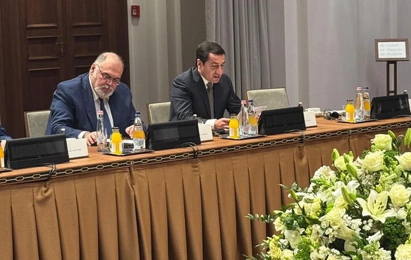 Hikmət Hacıyev TDT ölkələri rəhbərlərinin köməkçilərinin görüşündə iştirak edib