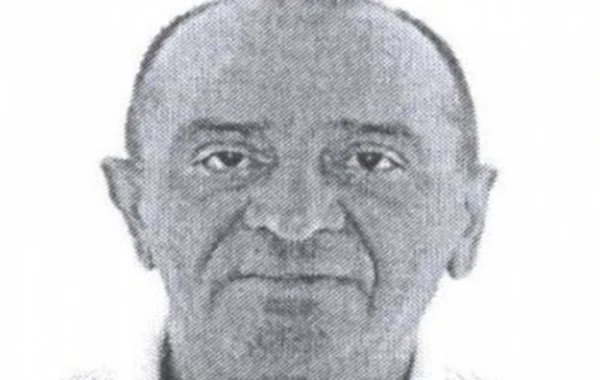 Eldar Mahmudovun "akula"sı azadlığa buraxılıb