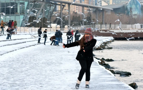 Bu günün hava proqnozu: Bakıya qar yağacaq
