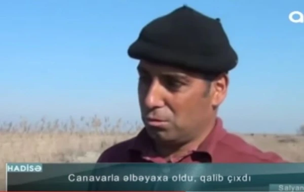 Canavarı boğaraq öldürən azərbaycanlı danışdı: "Gördüm ki üstümə gəlir..." (VİDEO)