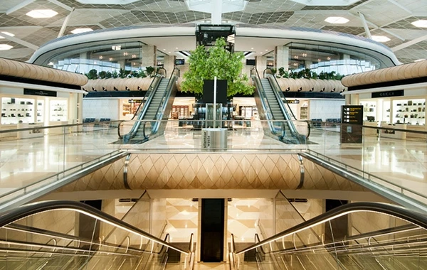 Bakı aeroportunda sərnişin başqasının pasportu ilə DSX-dan keçdi