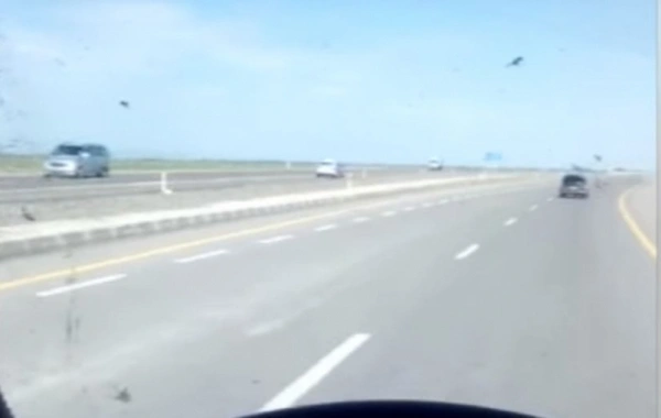 Bakıda yol polisi "protiv" sürərəq sürücüləri radara salır (VİDEO)