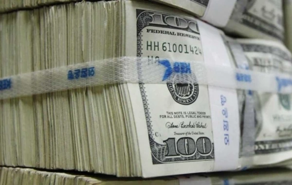 Dollar manata qarşı ucuzlaşmaqda davam edir