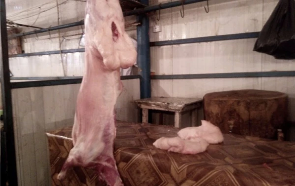Qurban bayramı ərəfəsi ət bahalaşa bilər