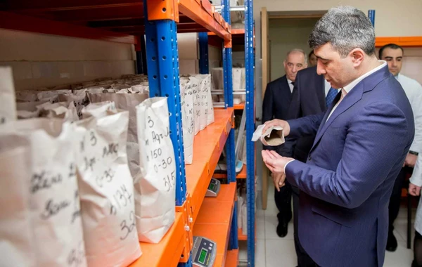 Yeni nazir yoxlamalara başladı - FOTO