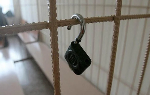Bakıda əri polis olan xanım alimdən 5 nəfərə qarşı İNANILMAZ ƏMƏL: kişi və qadınları...