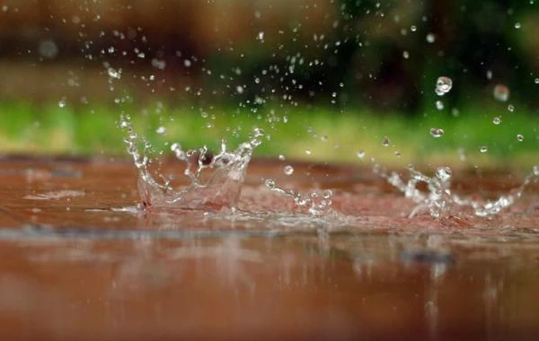 Ölkədə havanın temperaturu aşağı düşəcək