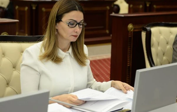 Deputat əxlaqı pozan verilişlərdən danışdı: Bunlara son qoyulmalıdır!