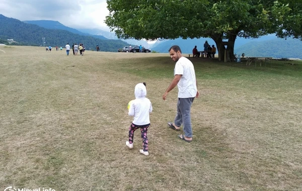 Azərbaycanda ağacın kölgəsinə görə ərəbdən 5 manat istədilər – “Ağacı Allah yaradıb, amma buraya mən baxıram” - FOTO-VİDEO