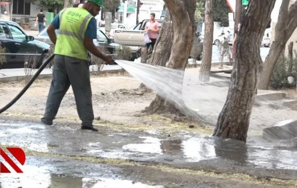 Bakıda ağacların dibinə yandırıcı maddə tökülməsinə görə 1 nəfər tutuldu