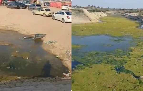 Bakı çimərliyində çox İYRƏNC MƏNZƏRƏ – Kanalizasiya suları birbaşa dənizə axır – VİDEO