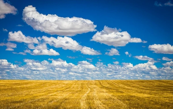 Temperatur artacaq - Sabahın hava proqnozu açıqlandı