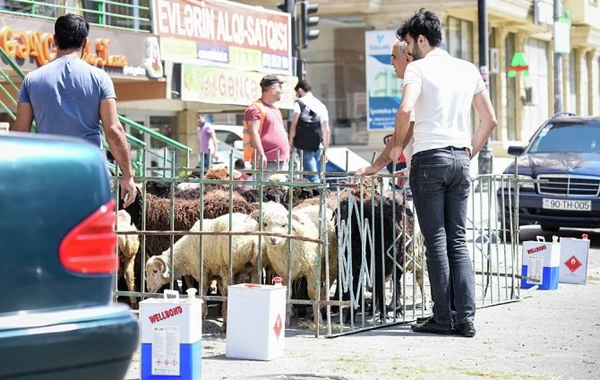 Bakıda qurbanlıq kəsimindən sonra BİABIRÇI MƏNZƏRƏ (VİDEO)