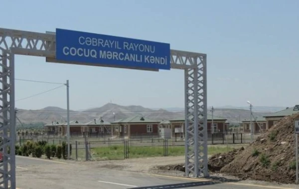 Cocuq Mərcanlıda 25 ildən sonra məhsul istehsalına başlanılıb — VİDEO