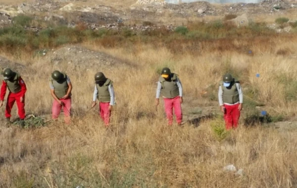 Gəncədə həyətyanı sahədən 135 ədəd partlamamış hərbi sursat aşkarlanıb - FOTO