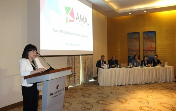 Gənc xanımların biznes qurmasına təkan verəcək yenilik - FOTO