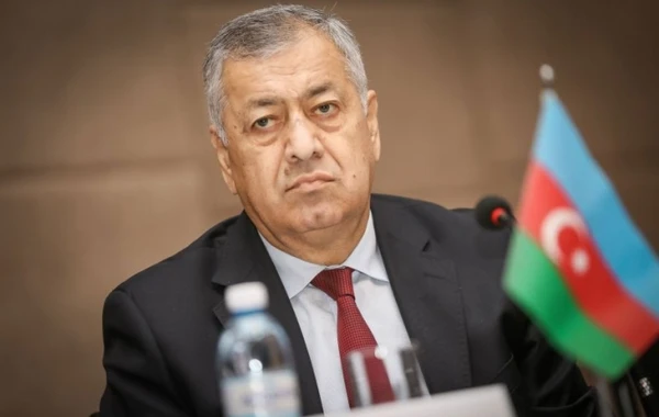 Deputat şəhid ailələri ilə bağlı danışdı: "Hər dəfə qarşımızı kəsirlər, yalvarırlar"