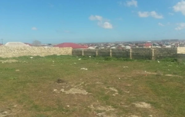 Bakıda qəribə oğurluq - 83 yaşlı qadının torpağını oğurladılar - VİDEO