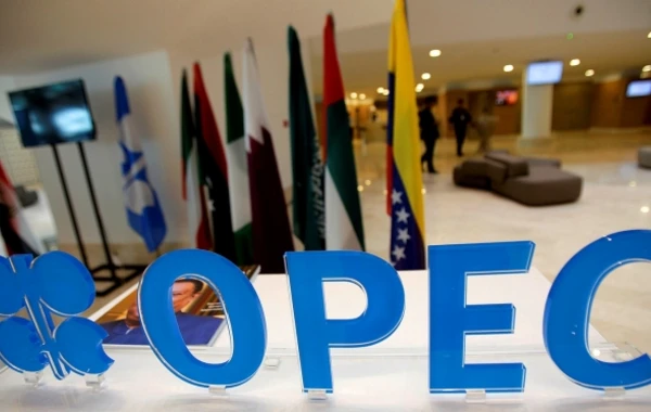Baş katib: "OPEC neft qiymətlərinin 2019-cu ildə aşağı düşməsinə imkan verməyəcək"