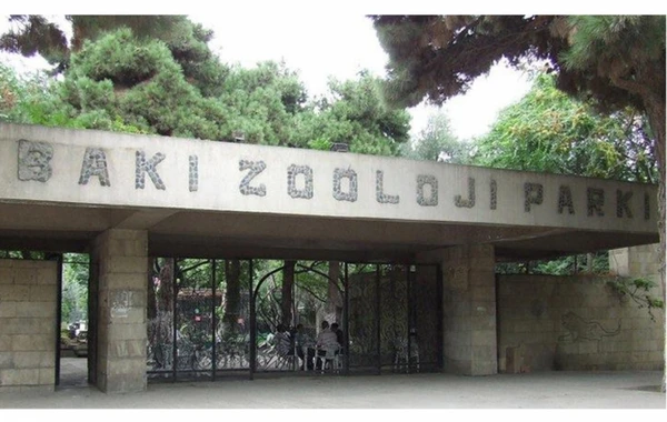 Bakı Zooparkı köçürülür