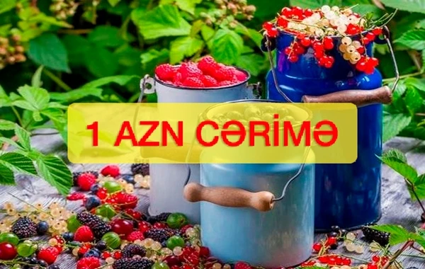 Azərbaycanda meşələrdən meyvə yığanlar 1 manat CƏRİMƏLƏNƏCƏK