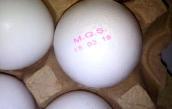 AQTA qalmaqallı yumurta məsələsi ilə bağlı araşdırmalara başladı