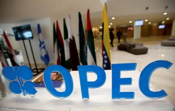 Bakıda OPEC+ ölkələri Nazirlərin Birgə Monitorinq Komitəsinin iclası başlayıb