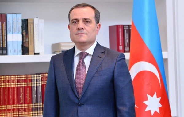 Təhsil naziri Elinanın ölümü ilə bağlı konfrans keçirdi, amma suallara cavab vermədi - VİDEO