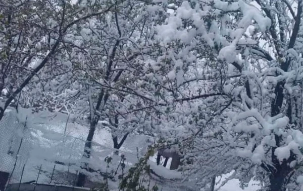Qarlı Naxçıvan – FOTO