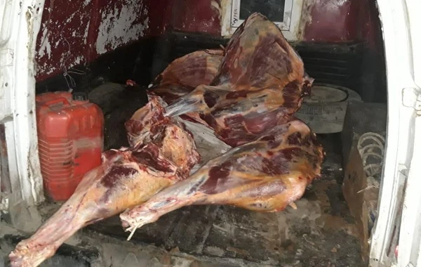 В Азербайджане обнаружено непригодное к использованию мясо - ФОТО