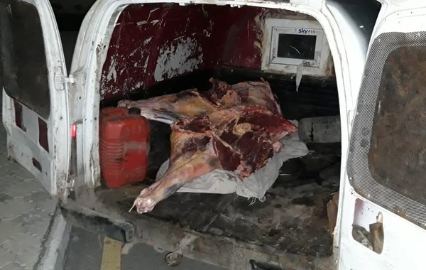 В Азербайджане обнаружено непригодное к использованию мясо - ФОТО
