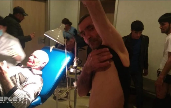 За один день в Азербайджане собаки покусали 10 человек - ВИДЕО