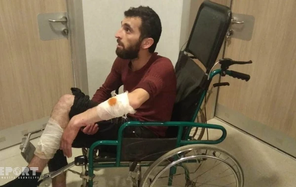 За один день в Азербайджане собаки покусали 10 человек - ВИДЕО