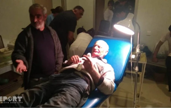 За один день в Азербайджане собаки покусали 10 человек - ВИДЕО