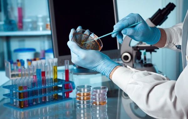 Azərbaycanda yeni laboratoriyalar yaradılacaq