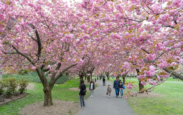 May ayına olan hava proqnozu açıqlandı