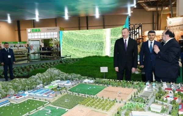 Dövlət başçısı İlham Əliyev sərgidə