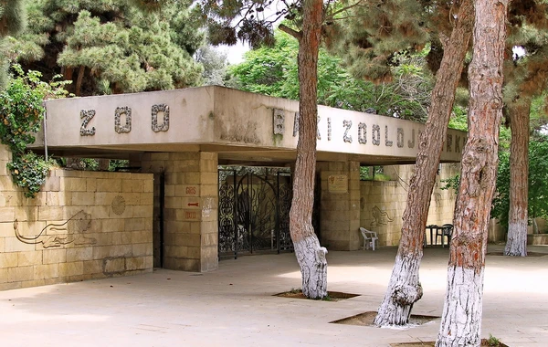 Bakı zooparkı sakinlərə sürpriz hazırlayıb - FOTO