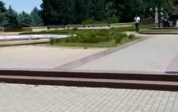 İcra Hakimiyyətinin yanında inəklər otlayır – “İstiqlal” parkında biabırçı mənzərə - FOTO