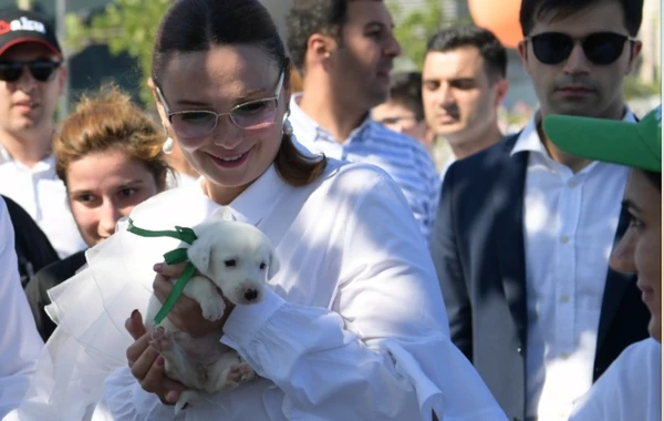 Qənirə Paşayeva “Toplan”dakı bir itə sahib çıxdı