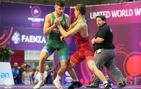 Азербайджанские борцы завоевали два золота и бронзу Чемпионата Европы - ФОТО