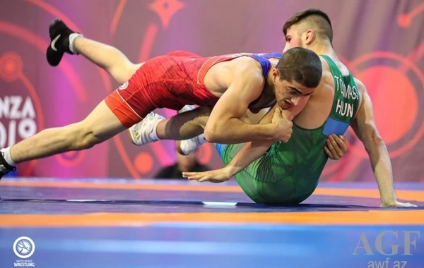 Азербайджанские борцы завоевали два золота и бронзу Чемпионата Европы - ФОТО