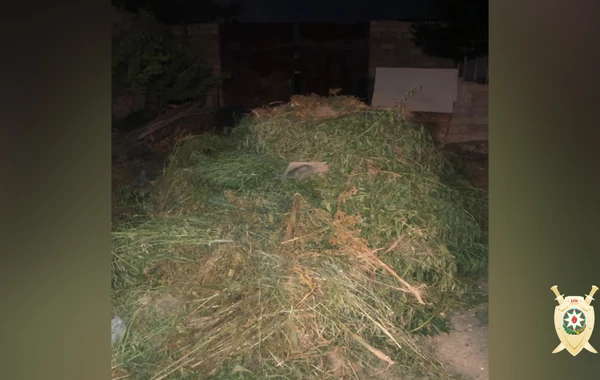 Bakıda yarım tondan çox narkotik vasitə aşkarlandı – FOTO