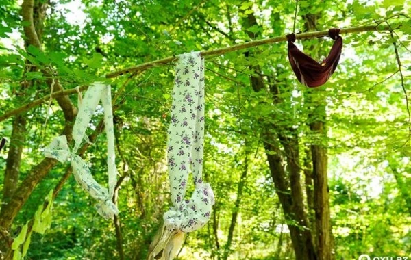 Azərbaycanda yeni “pir”: Ağacdan alt paltarı asırlar, “əl uzadan”ın ağzı əyilir – REPORTAJ