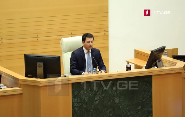 Gürcüstan parlamentinin yeni sədri məlum oldu
