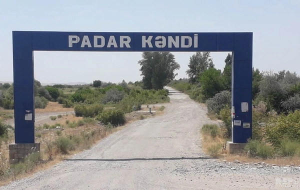 Ağsuda mal-qara kütləvi şəkildə ölüb - FOTO