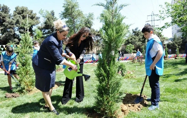 Bakıda daha bir həyət abadlaşdırıldı: Leyla Əliyevanın təşəbbüsüdür - FOTO