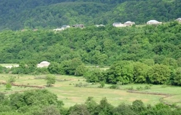 Avstriya şirkəti Azərbaycanda 125 hektar ərazi aldı