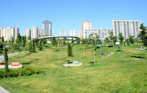 Великолепный облик Баку: Центральный парк - ФОТО