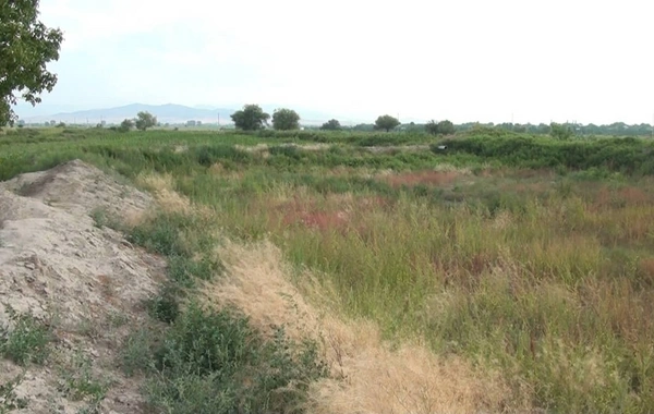 Ağstafada 8 min ilik tarixi məhv ediblər - FOTO